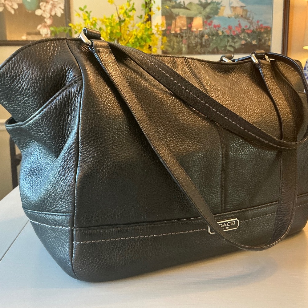 Coach Carrie Park Tote Style Handbag